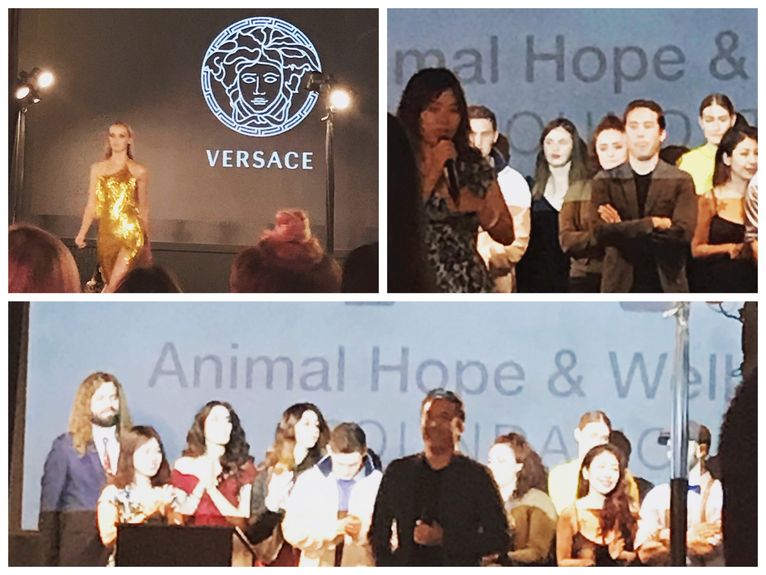 Collage of people speaking at the Compassion Project Gala